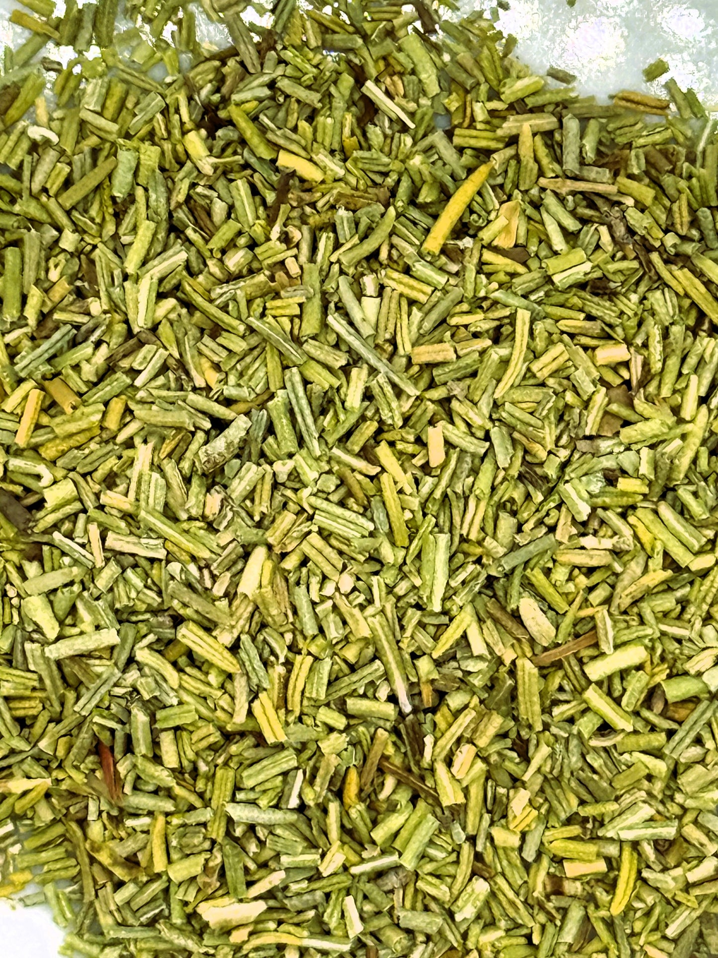 Bio Rosmarin