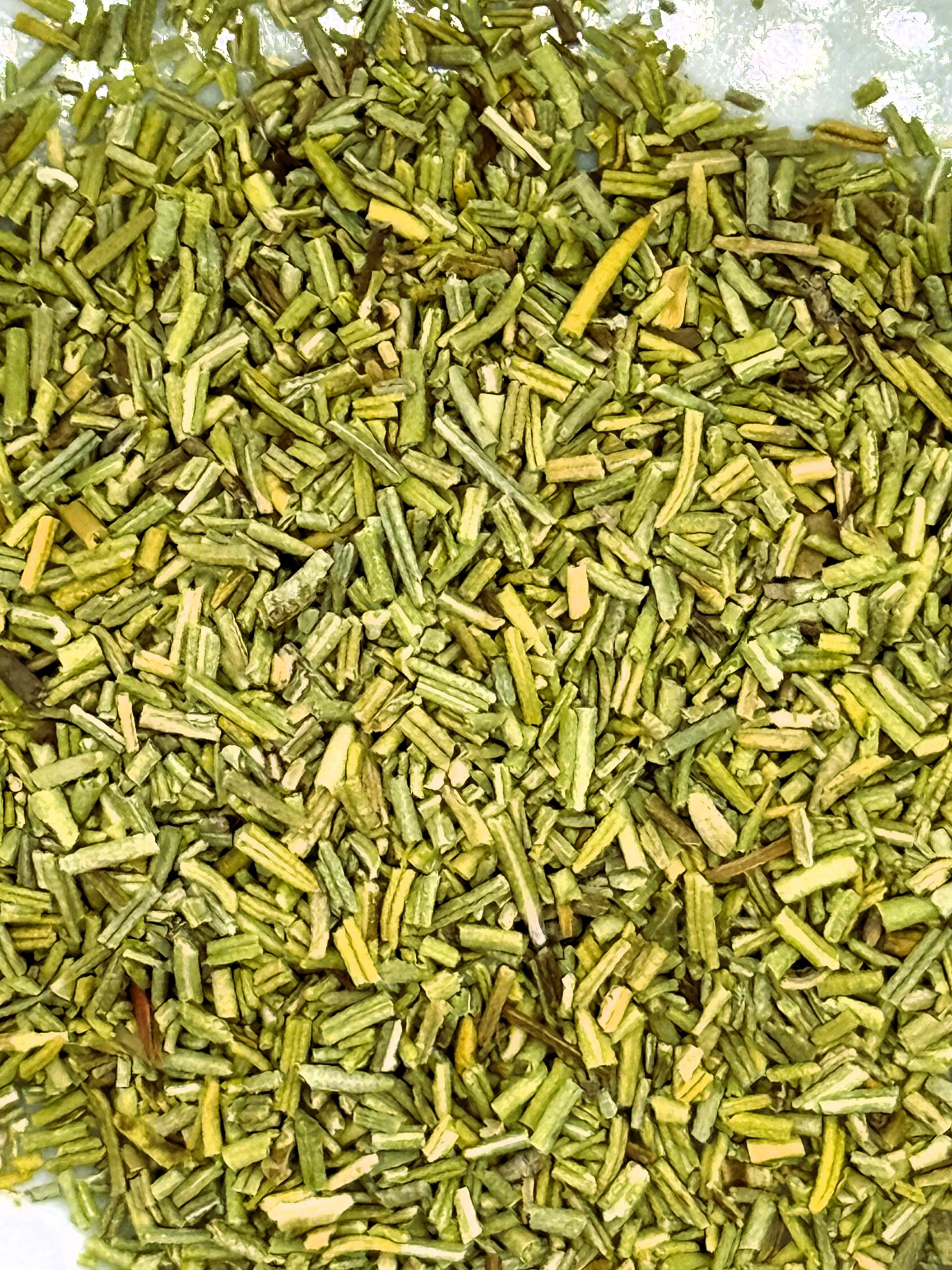 Bio Rosmarin