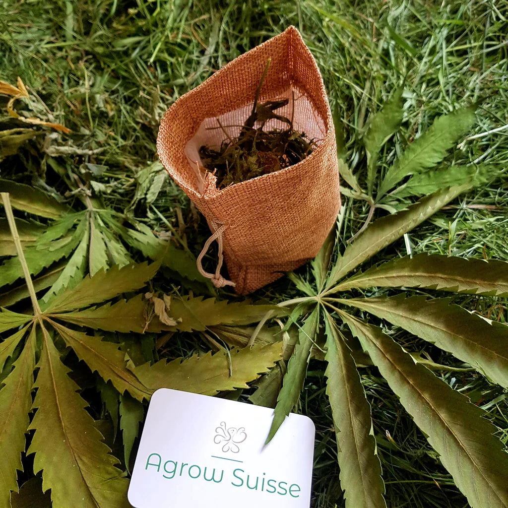 TeeWanne - Hanf & Heu/ Bath Tea-Hemp & Hay - hhc-420.de