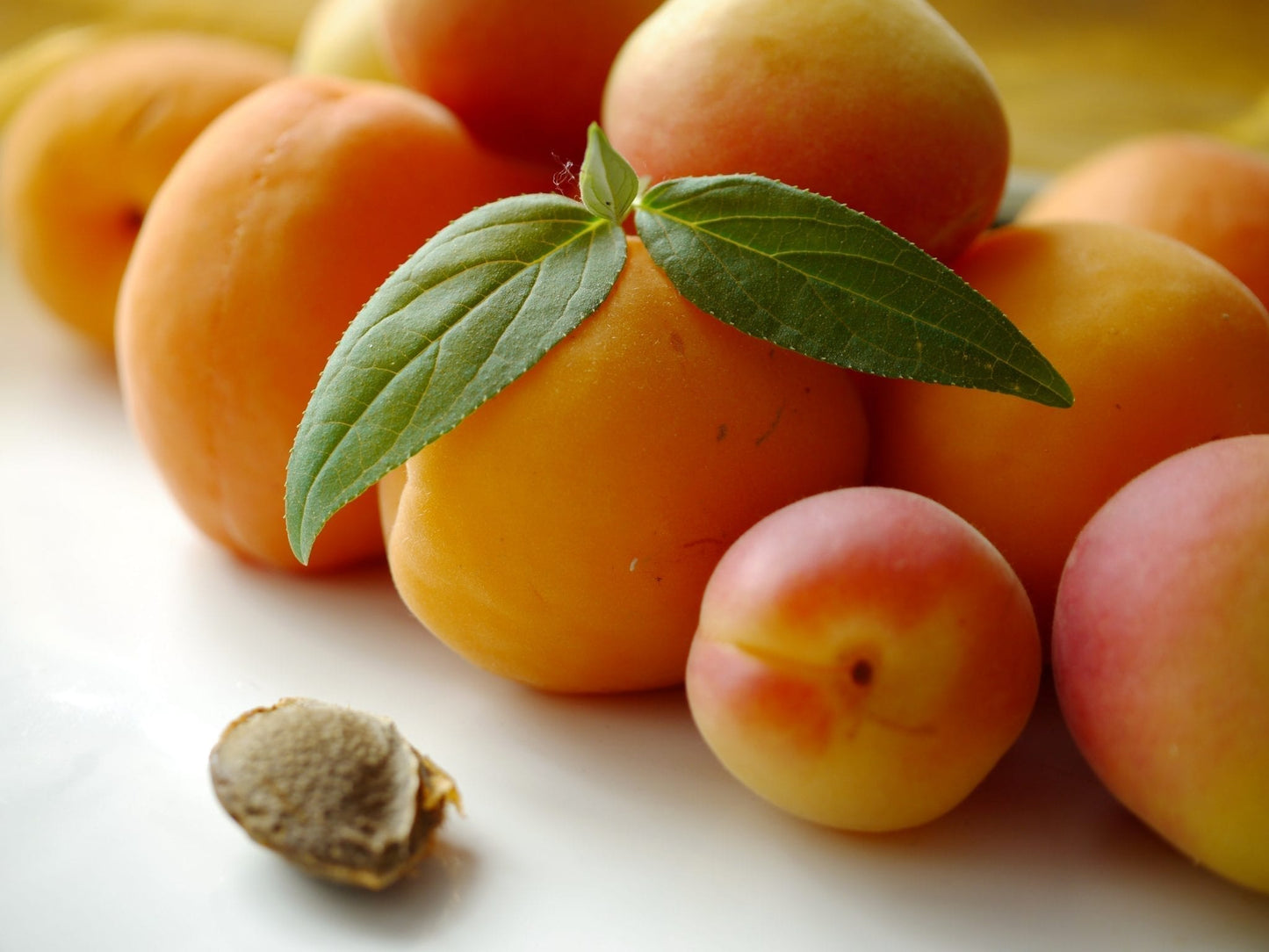 Bitter apricot kernels