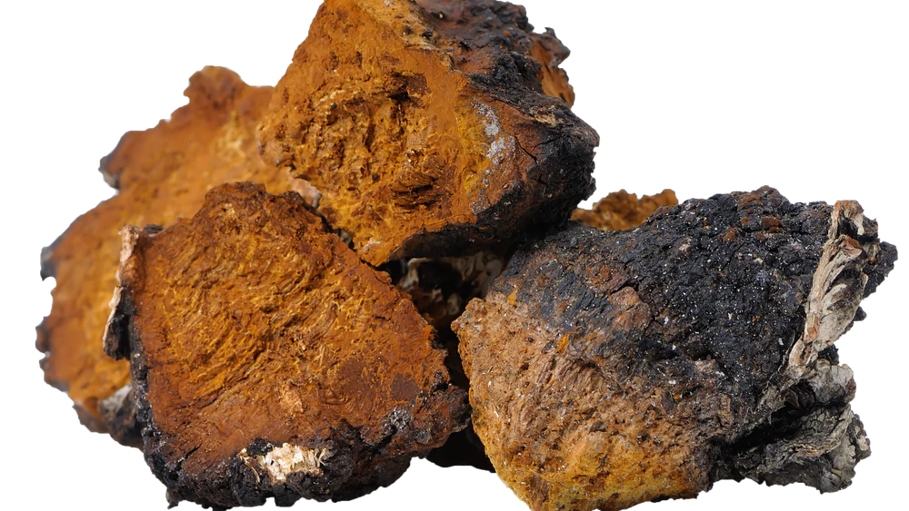 Chaga-Brocken