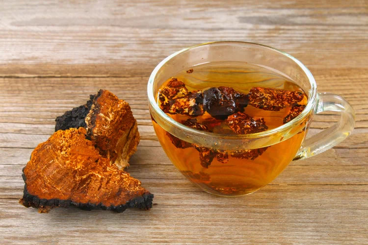 Chaga-Brocken
