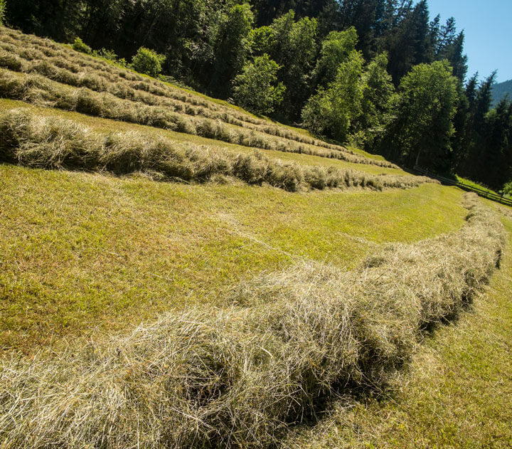 TeeWanne - Hanf & Heu/ Bath Tea-Hemp & Hay