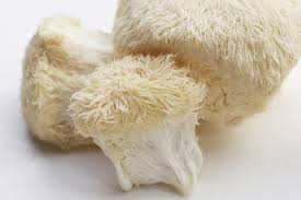 Lions Mane capsules