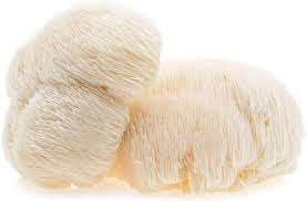 Lions Mane capsules