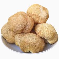 Lions Mane capsules