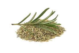 Bio Rosmarin