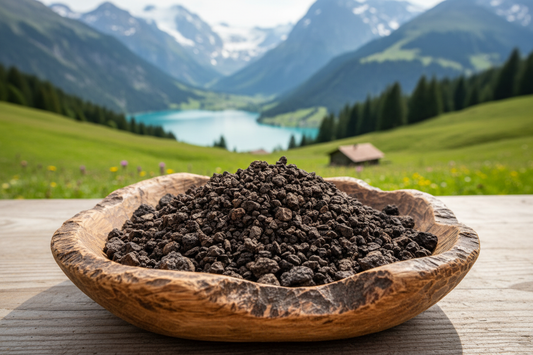 Chaga granuliert in einer Holzschale vor Schweizer Naturlanschaft