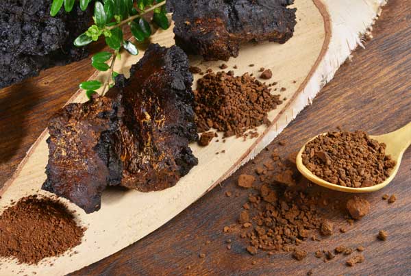 Chaga-Brocken