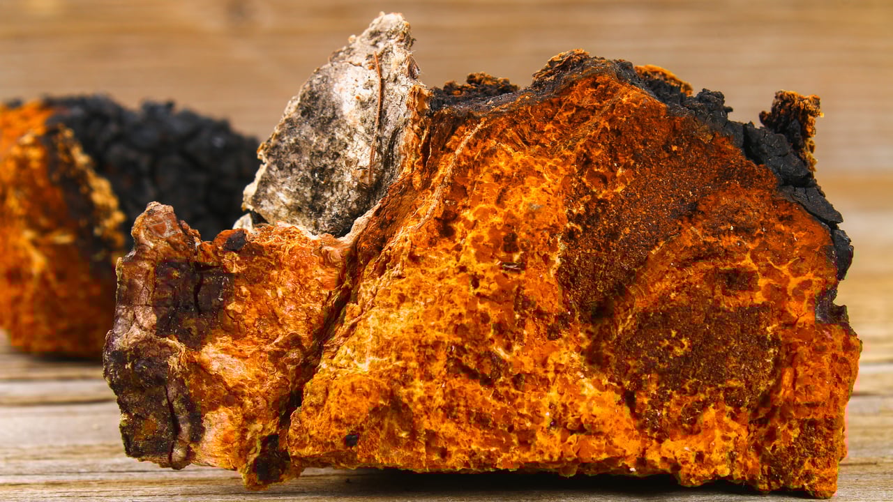 Chaga-Brocken