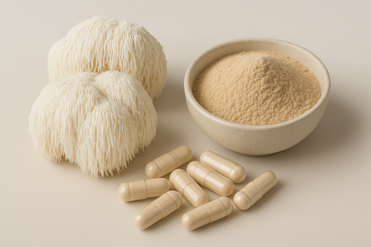 Lions Mane getrocknet daneben eine kleine Schale mit Lions Mane Pulver Und ein kleiner haufen Lionsmane Kapseln