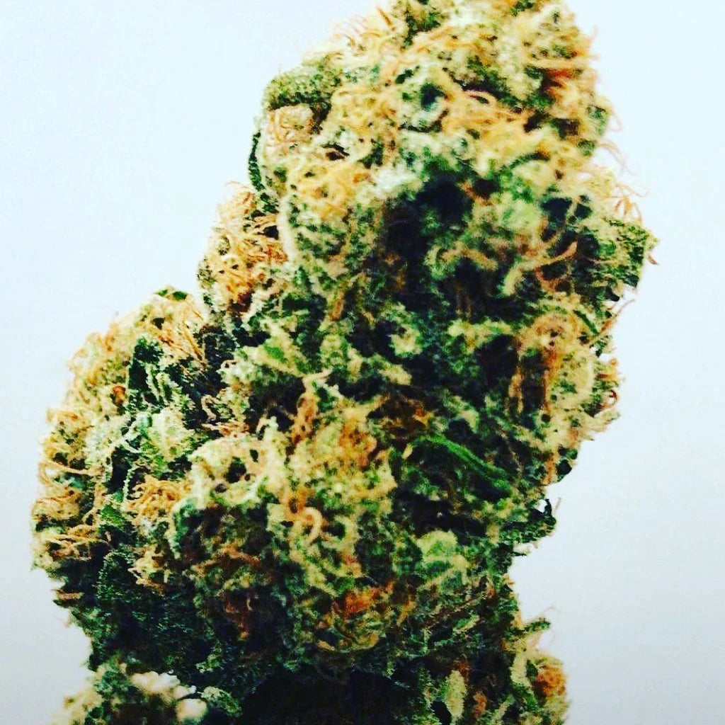 CBD Limonchello - hhc-420.de